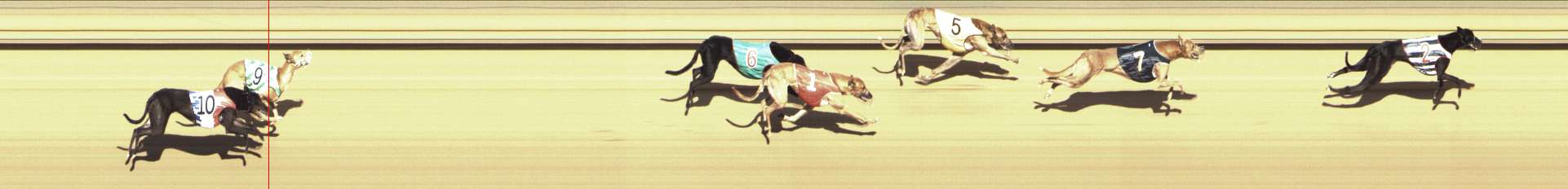 Photo finish for Shepparton Race 6