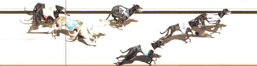 Photo finish for Shepparton Race 7