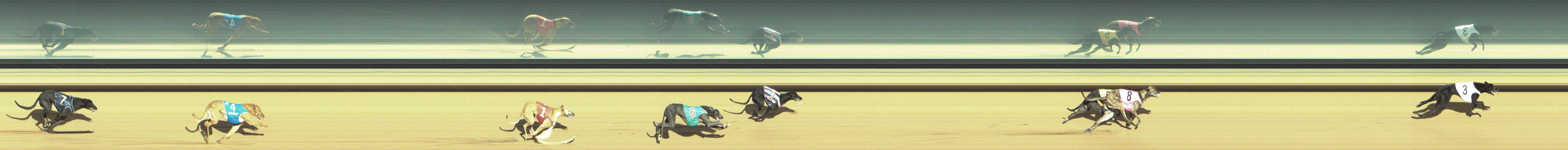 Photo finish for Shepparton Race 8