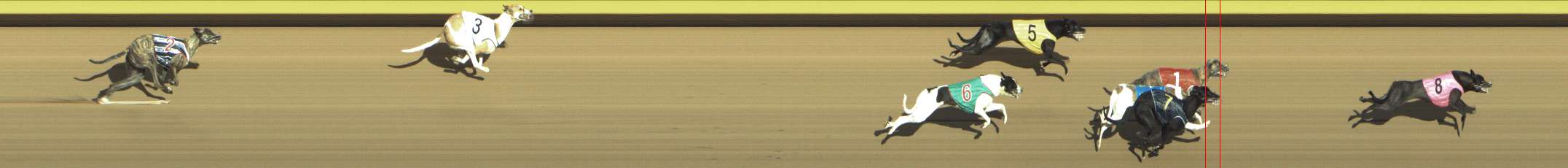Photo finish for Shepparton Race 9