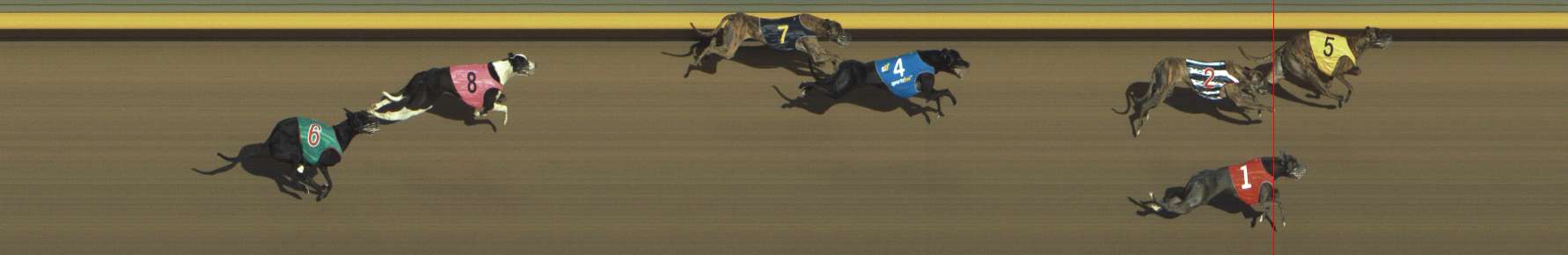 Photo finish for Shepparton Race 10