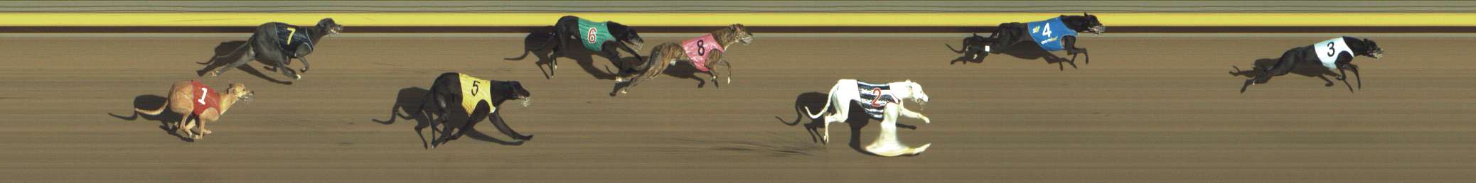 Photo finish for Shepparton Race 11