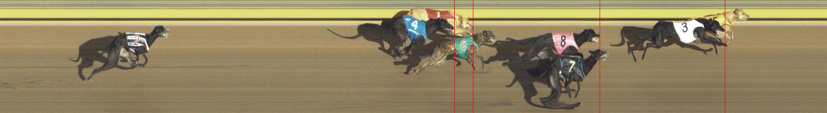 Photo finish for Shepparton Race 12