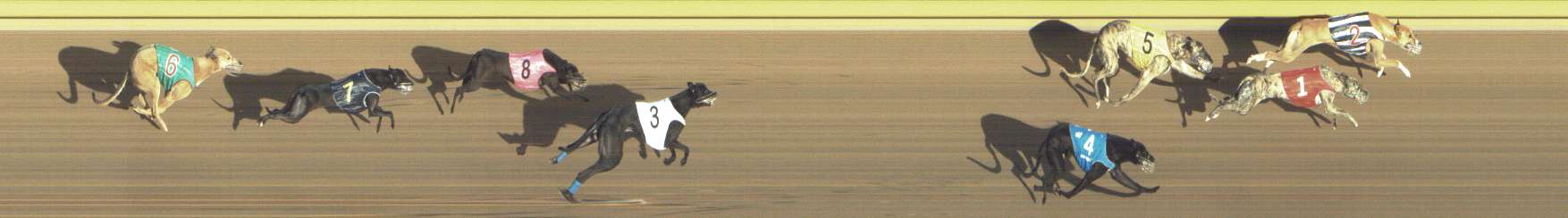 Photo finish for Shepparton Race 13