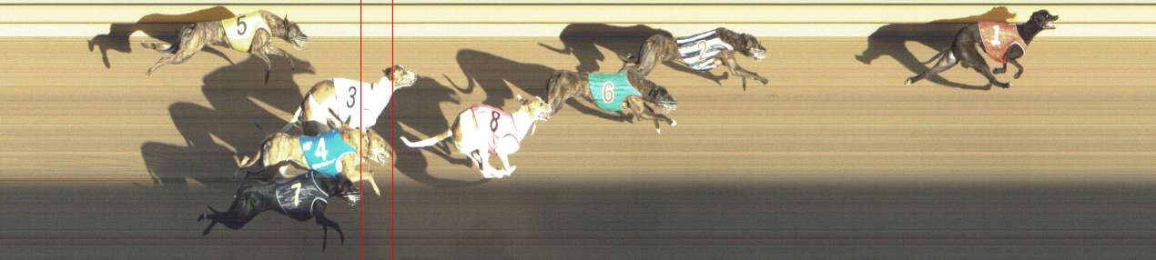 Photo finish for Shepparton Race 14