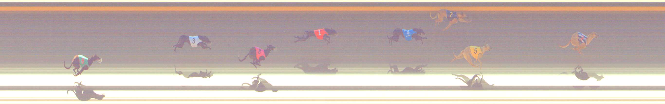 Photo finish for Shepparton Race 1