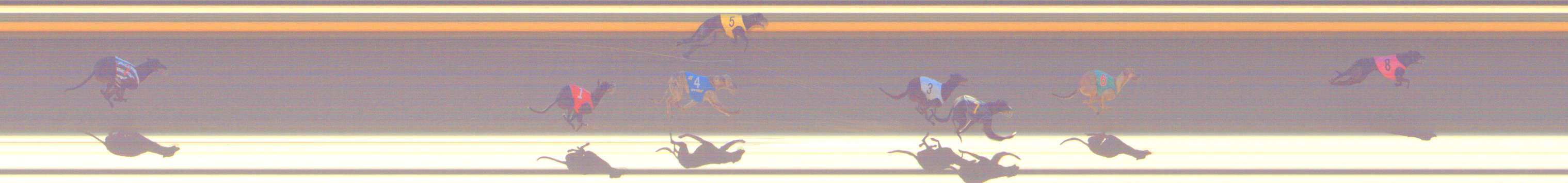 Photo finish for Shepparton Race 2