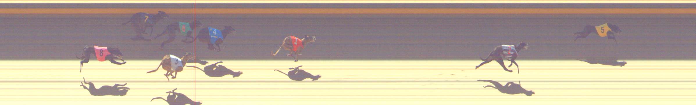 Photo finish for Shepparton Race 3