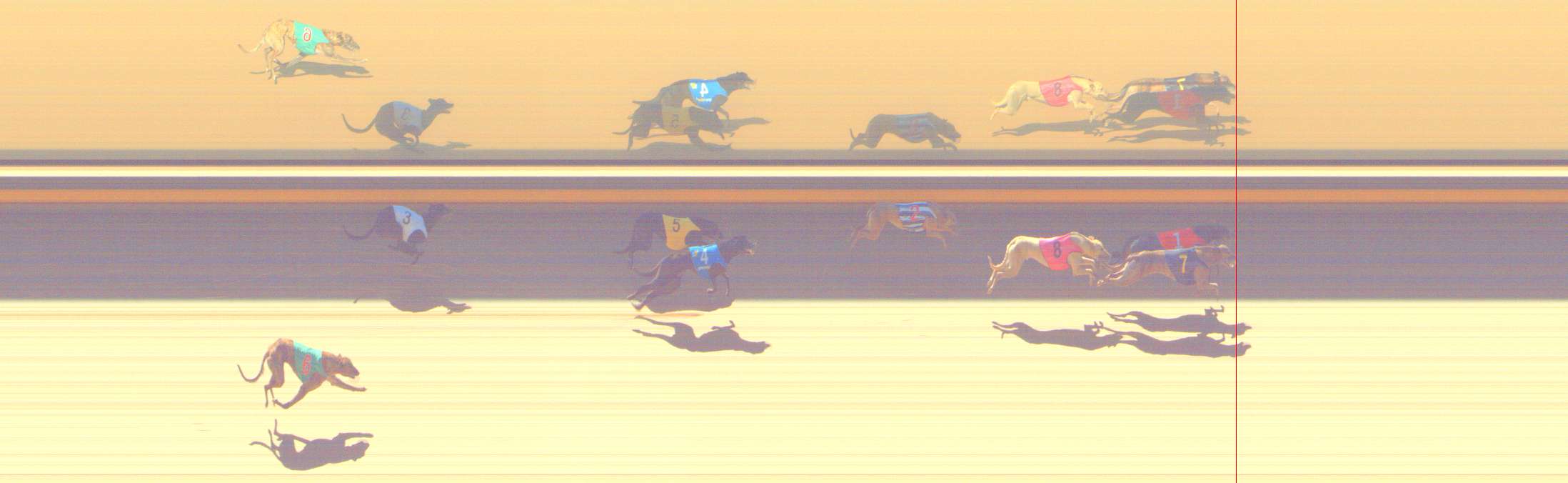 Photo finish for Shepparton Race 4