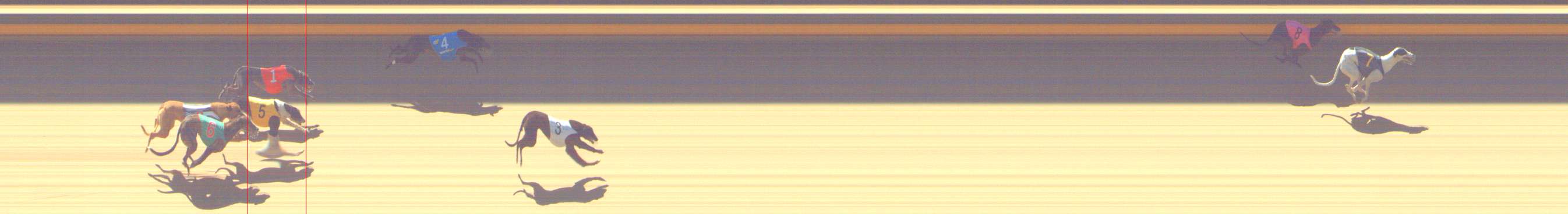 Photo finish for Shepparton Race 5