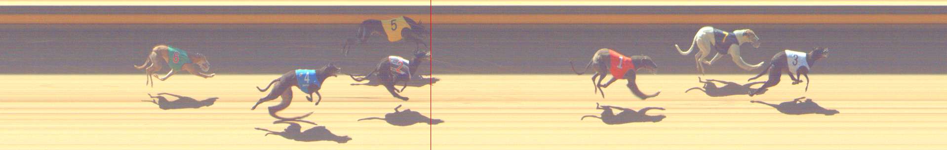 Photo finish for Shepparton Race 6