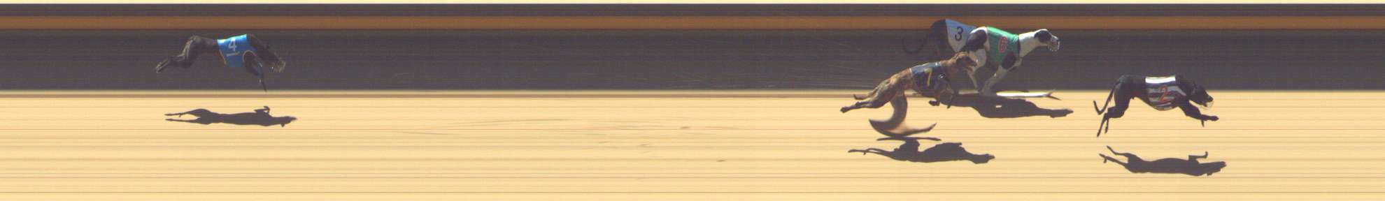Photo finish for Shepparton Race 7