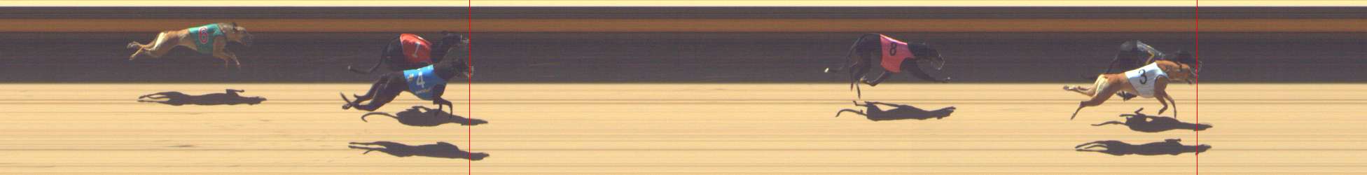 Photo finish for Shepparton Race 8