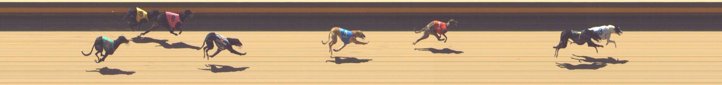 Photo finish for Shepparton Race 9