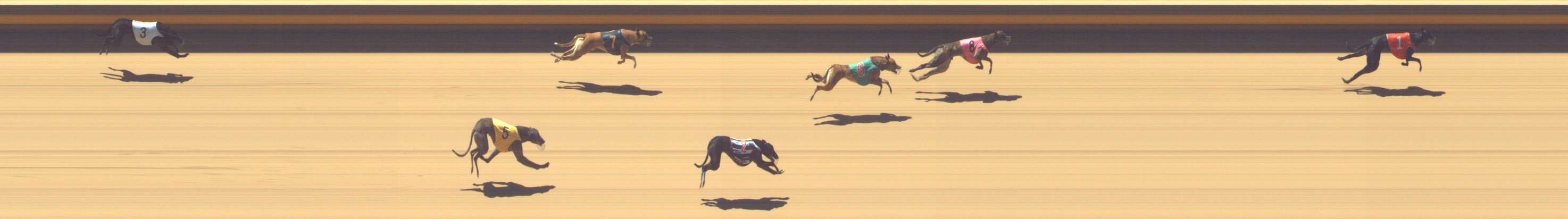 Photo finish for Shepparton Race 10