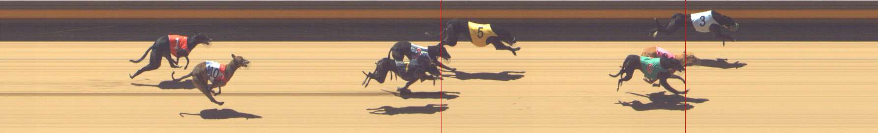 Photo finish for Shepparton Race 11