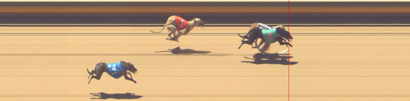 Photo finish for Shepparton Race 12