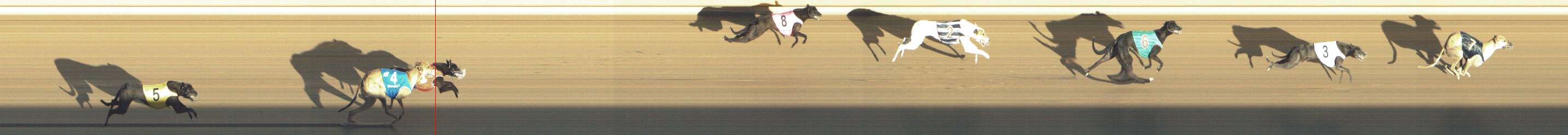 Photo finish for Shepparton Race 1