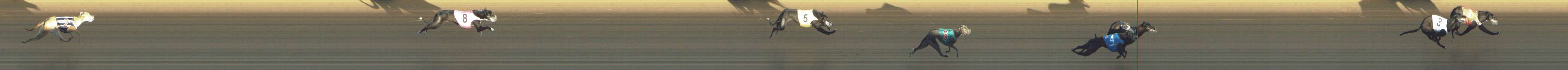 Photo finish for Shepparton Race 2