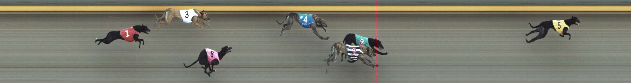 Photo finish for Shepparton Race 4