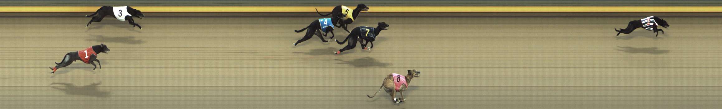 Photo finish for Shepparton Race 5