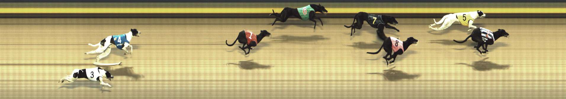 Photo finish for Shepparton Race 6