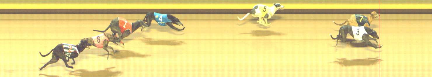 Photo finish for Shepparton Race 7