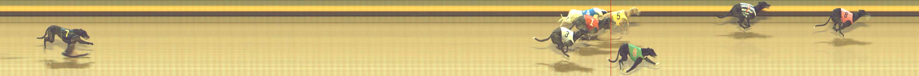 Photo finish for Shepparton Race 8