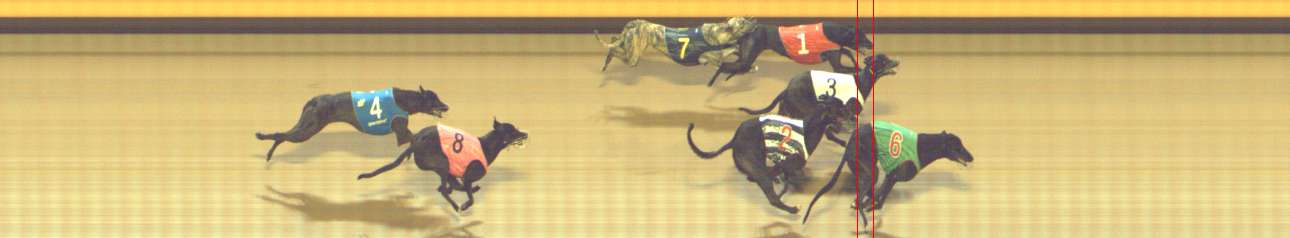 Photo finish for Shepparton Race 9