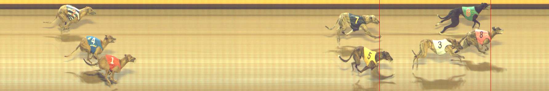 Photo finish for Shepparton Race 10