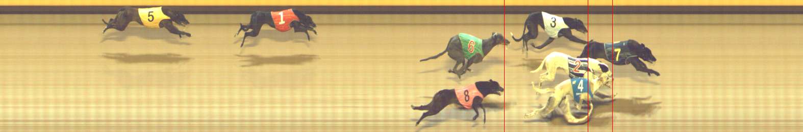 Photo finish for Shepparton Race 11