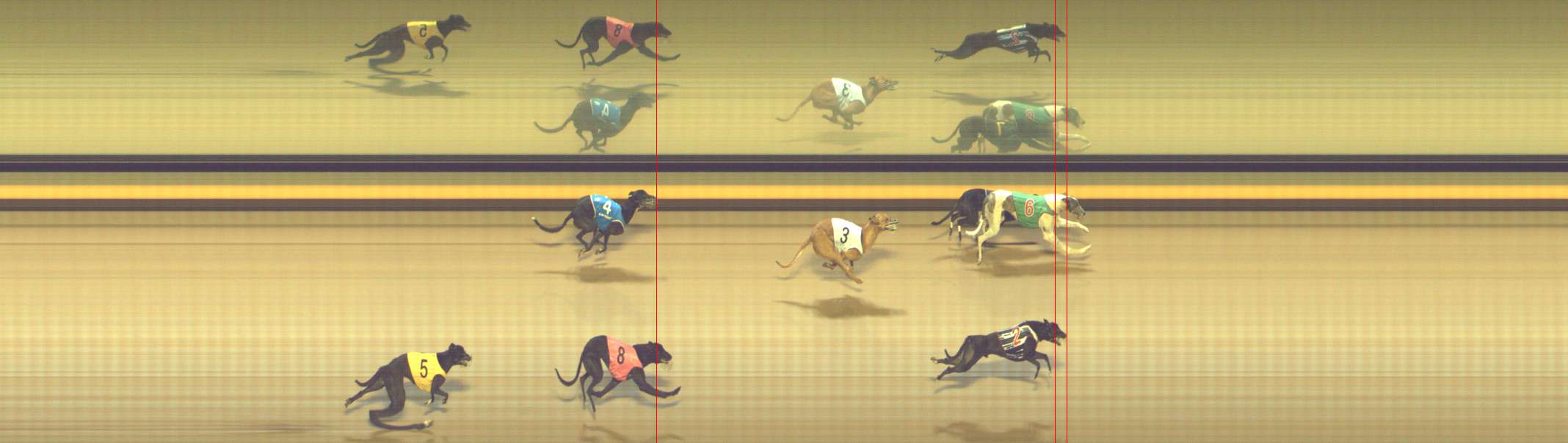 Photo finish for Shepparton Race 12