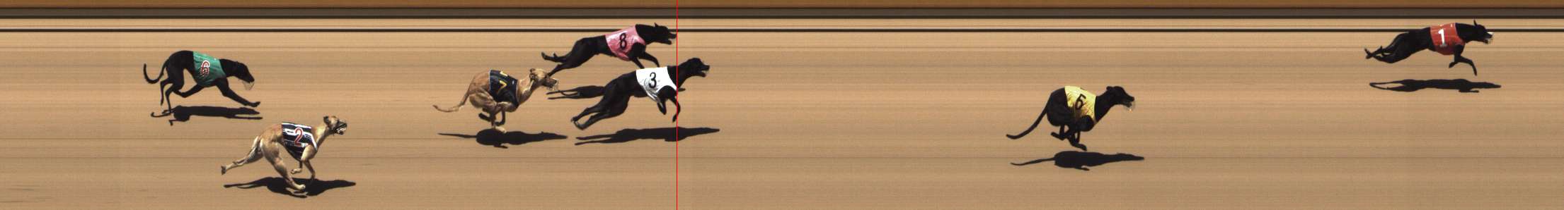 Photo finish for Shepparton Race 1
