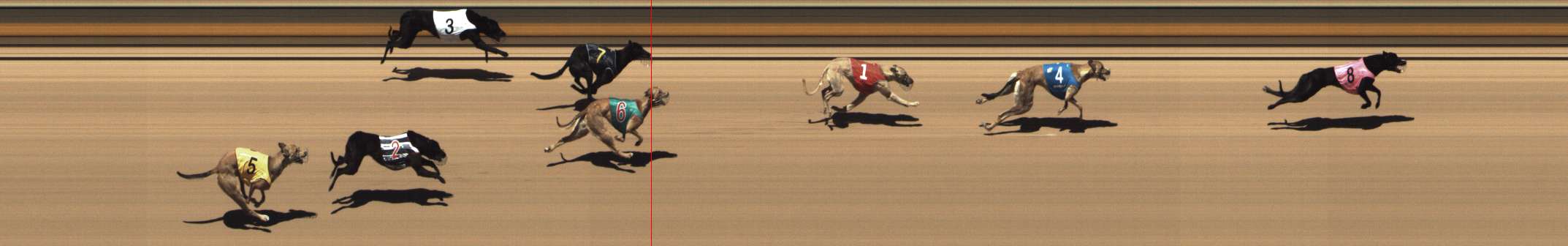 Photo finish for Shepparton Race 2