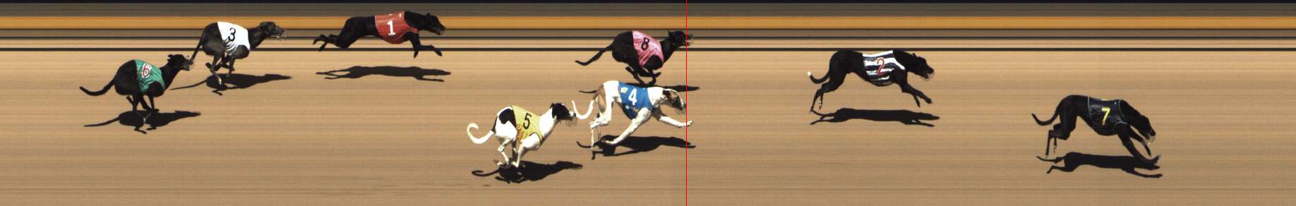 Photo finish for Shepparton Race 3