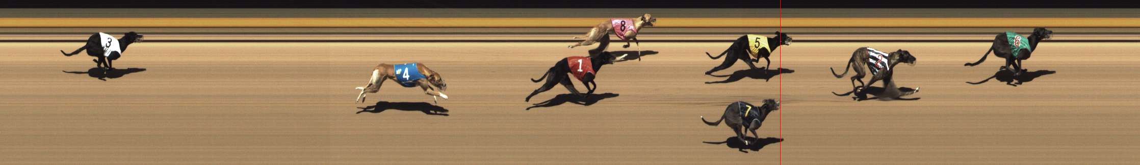 Photo finish for Shepparton Race 4