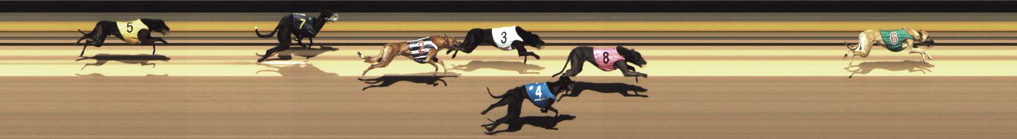 Photo finish for Shepparton Race 5