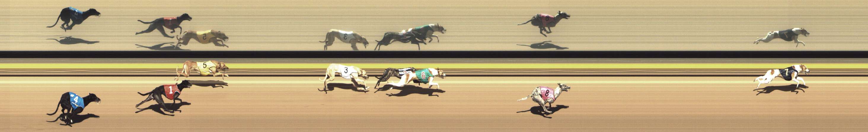 Photo finish for Shepparton Race 6