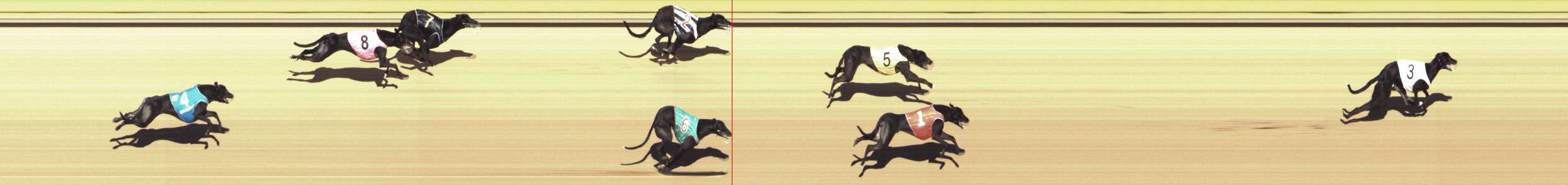Photo finish for Shepparton Race 7