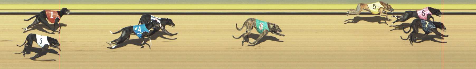Photo finish for Shepparton Race 8