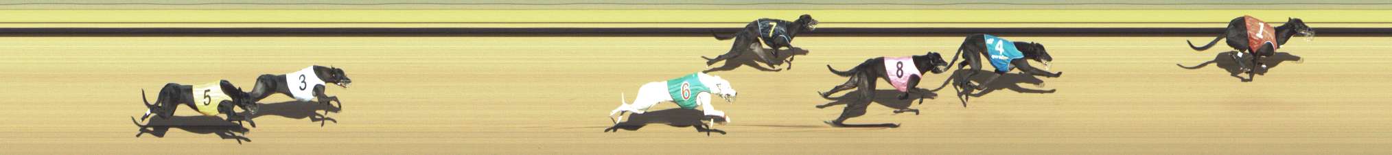 Photo finish for Shepparton Race 9