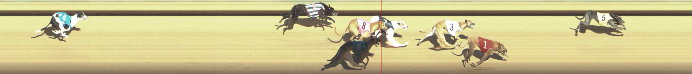 Photo finish for Shepparton Race 10