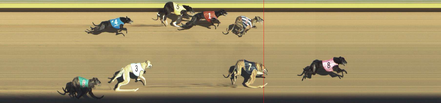 Photo finish for Shepparton Race 11