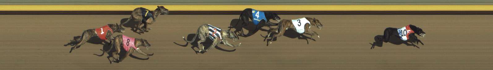 Photo finish for Shepparton Race 12