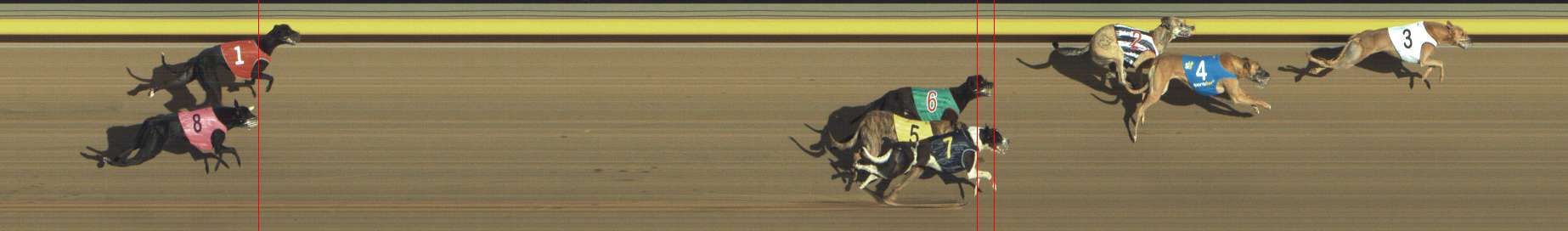 Photo finish for Shepparton Race 13