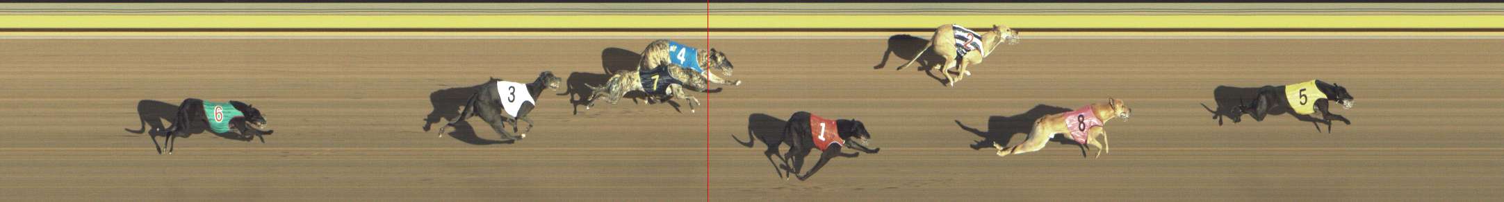 Photo finish for Shepparton Race 14