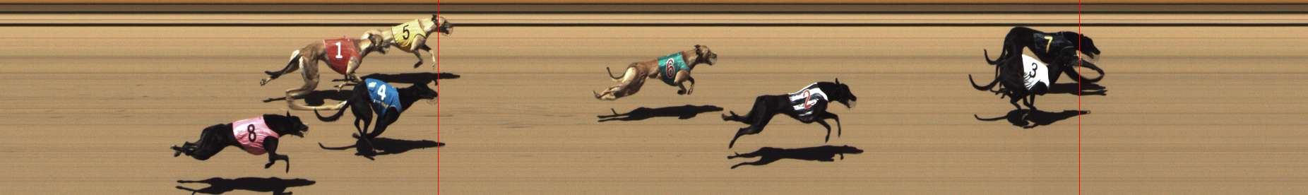 Photo finish for Shepparton Race 2