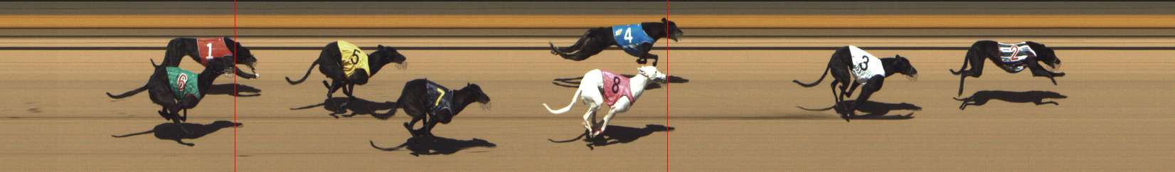 Photo finish for Shepparton Race 3