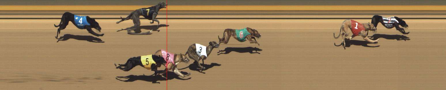 Photo finish for Shepparton Race 4