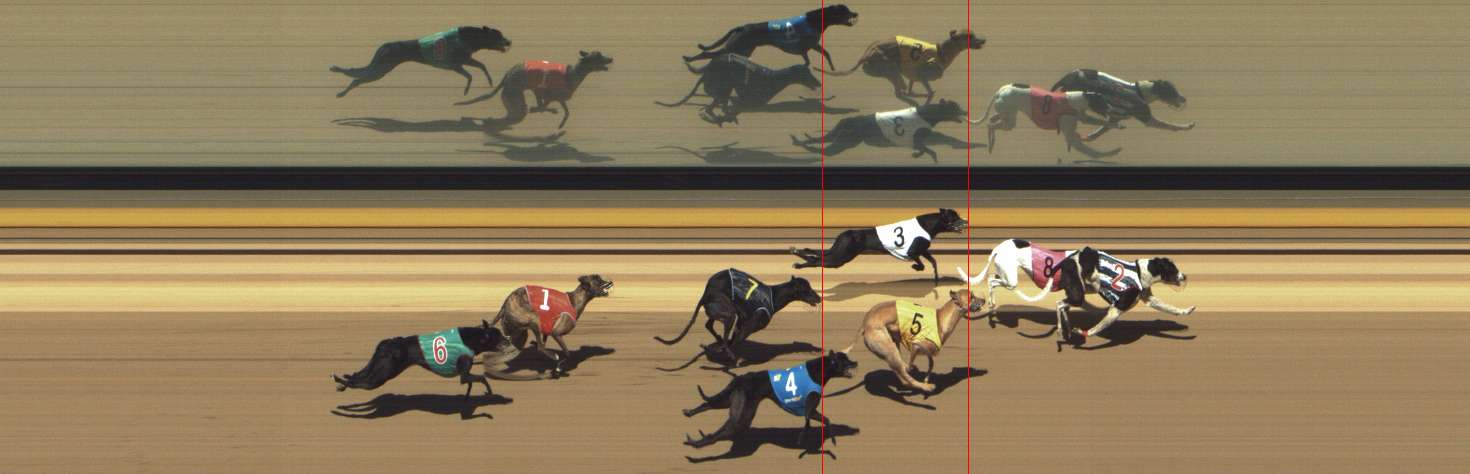 Photo finish for Shepparton Race 5
